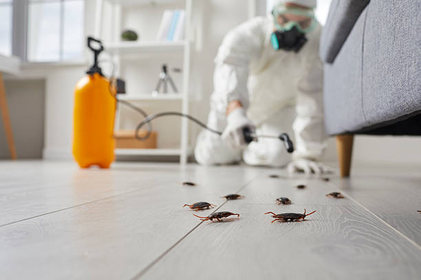 Trusted Rodent Control service in Yarmouth Port, MA - Nex Pest Control