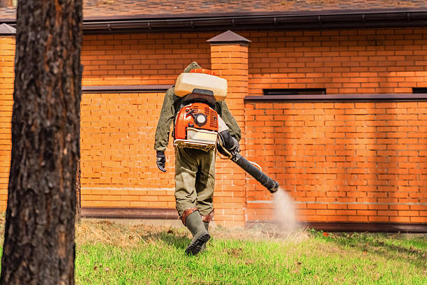 Trusted Ant Control service in Yarmouth Port, MA - Nex Pest Control